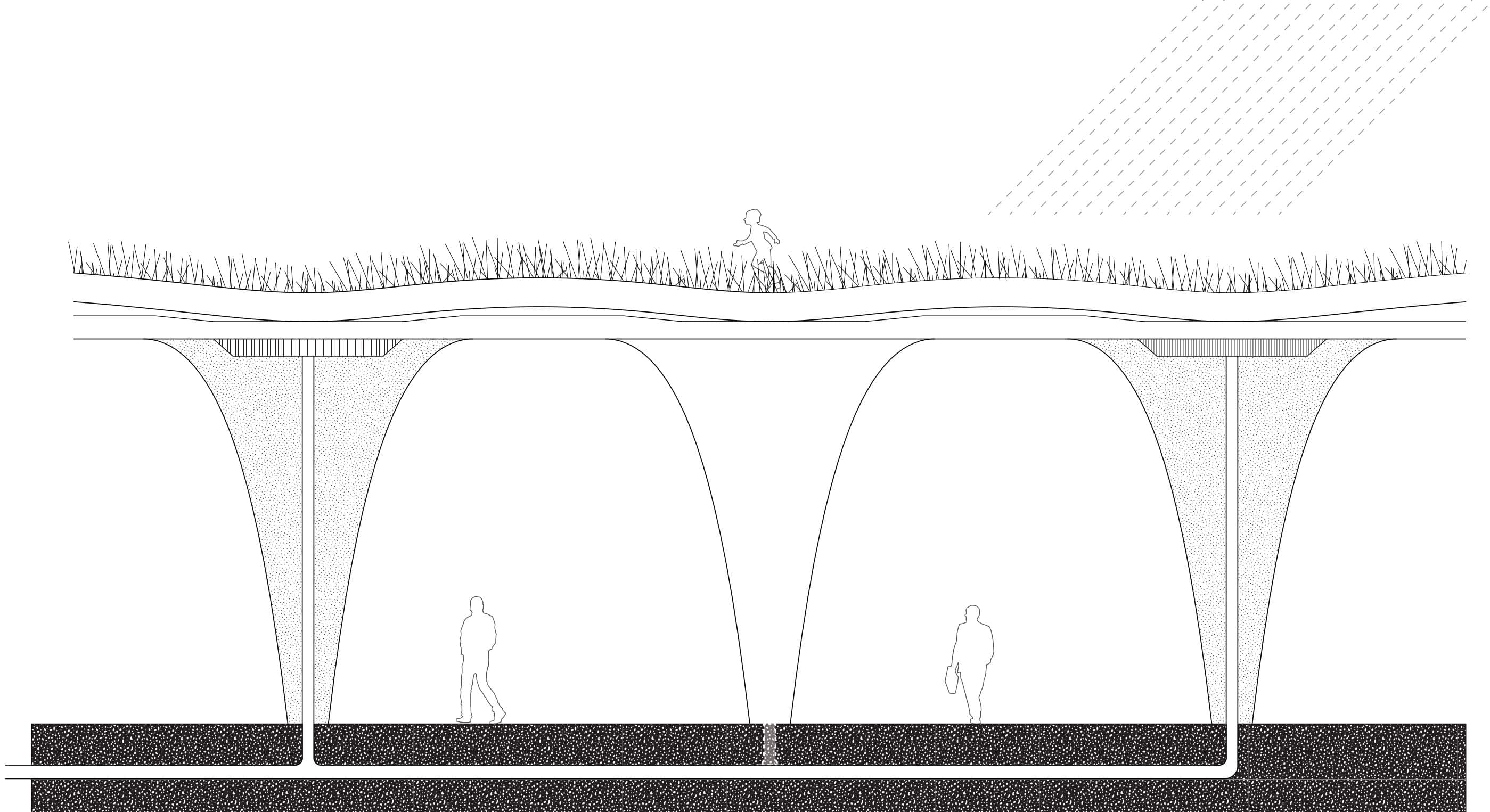 Flinders St Water Reclamation Facility — section through the planted roof canopy