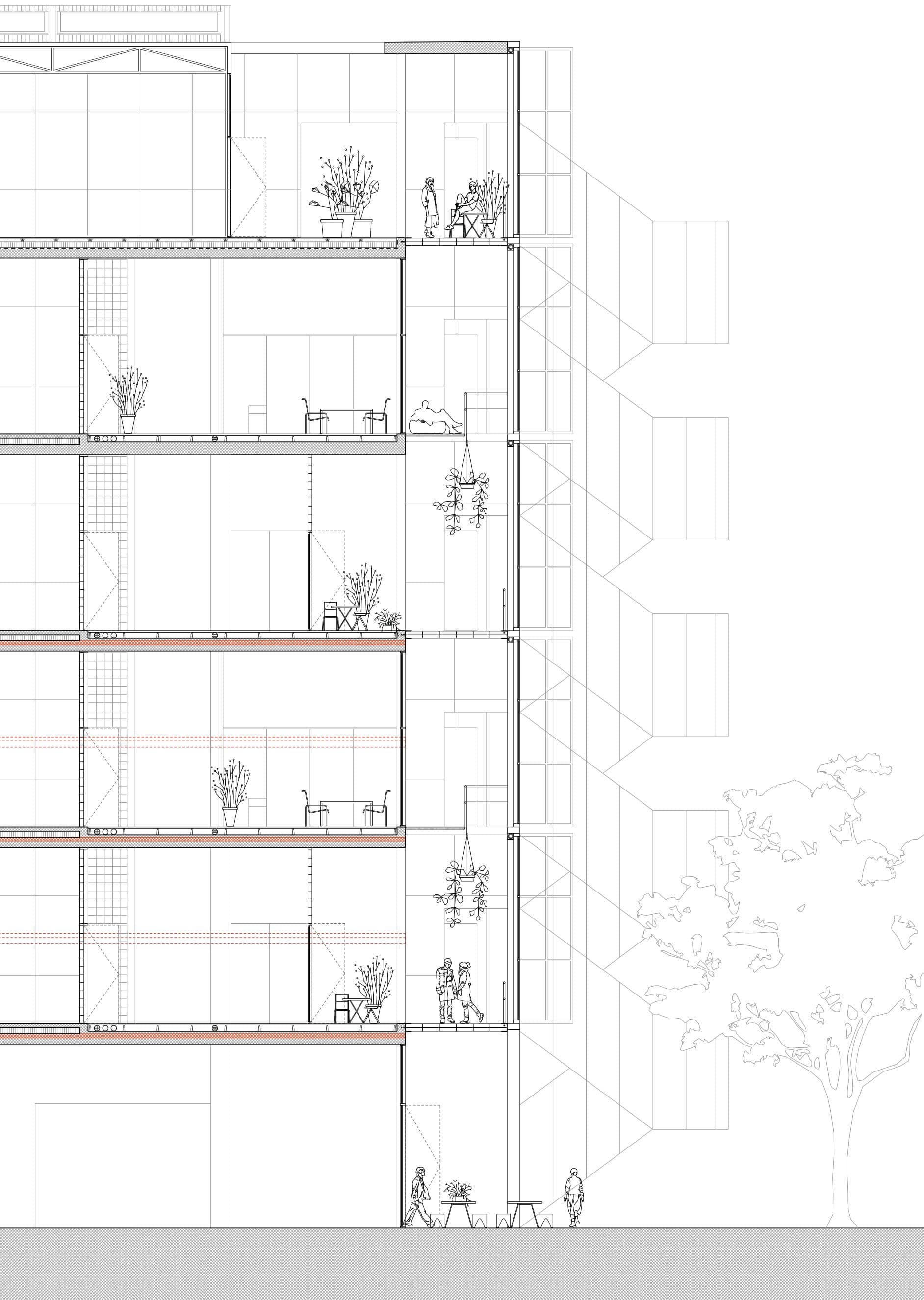 The Modern Villa — section, 1:100