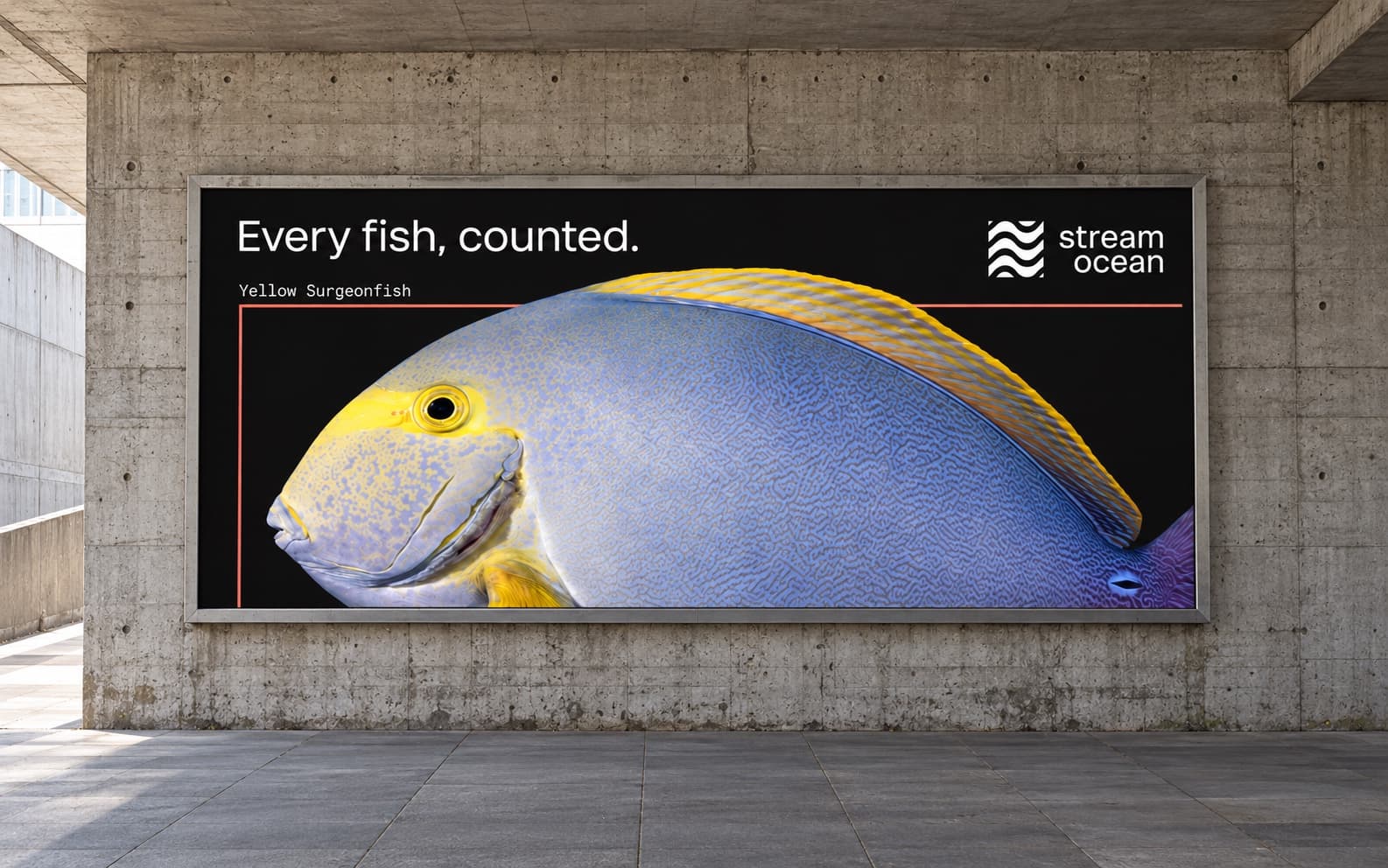 A landscape billboard on the concrete wall of an underpass: on black, a Yellow Surgeonfish so large the billboard crops it, inside a coral detection-frame line labelled Yellow Surgeonfish, under the line Every fish, counted., with the stream ocean lockup top right.