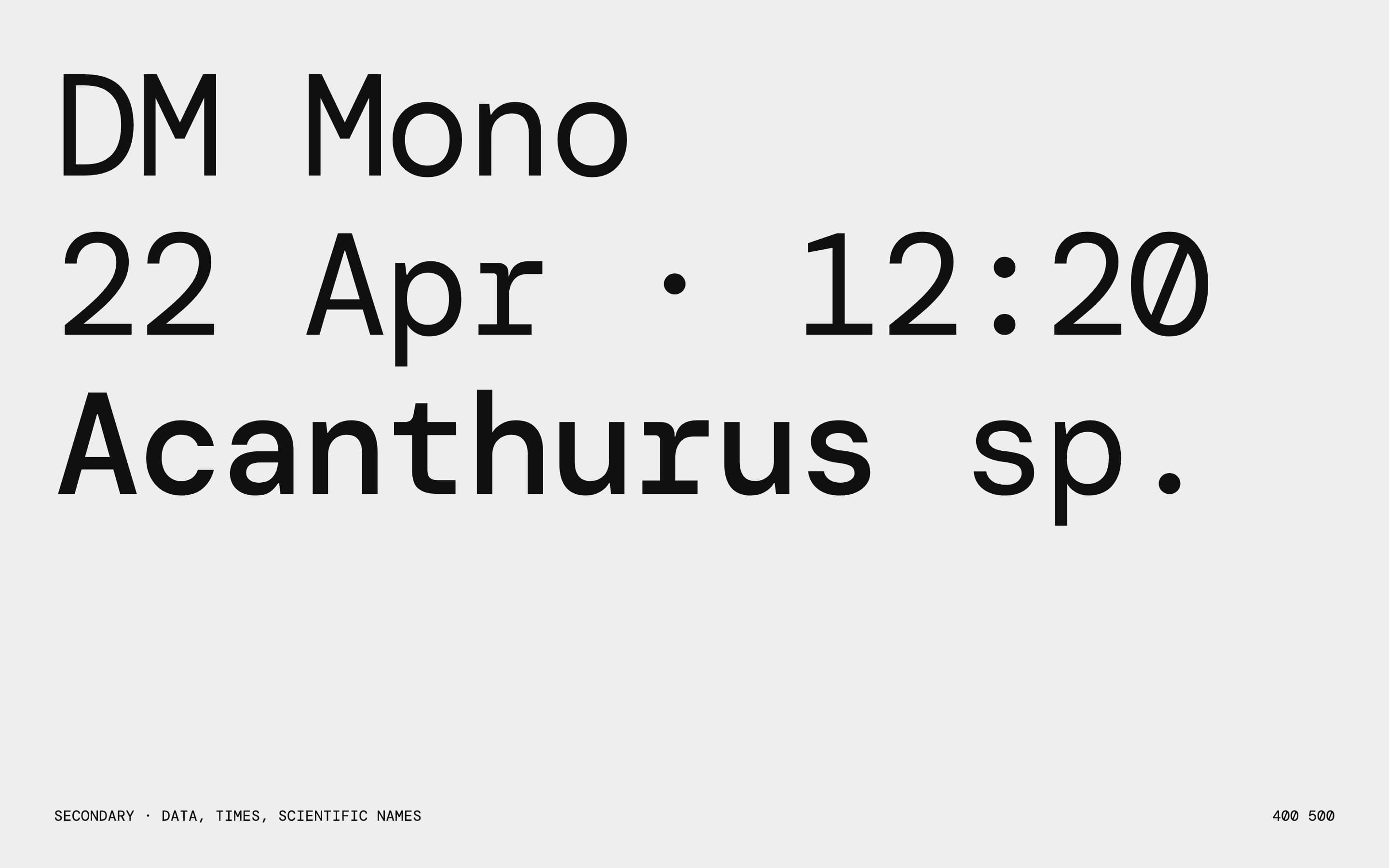 DM Mono on Cloud Grey: the family name, a survey time, 22 Apr 12:20, and Acanthurus sp. as three large lines.